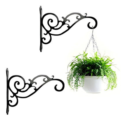 AIM and GGKK metal plant hanger with scroll design for stylish indoor display.