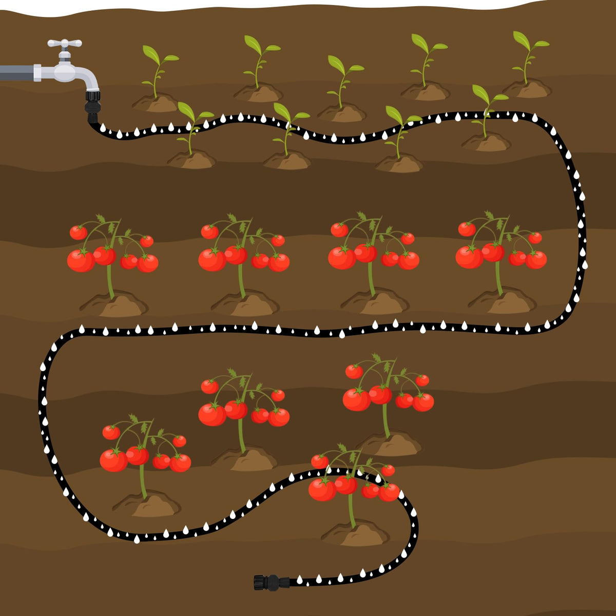 AIODE 15ft hose compatible with garden beds and vegetable plots.