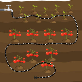 AIODE 15ft hose compatible with garden beds and vegetable plots.