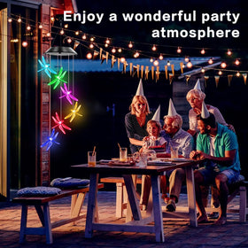 AIONASA Dragonfly solar wind chimes with IP65 waterproof rating for outdoor use.