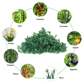 Plant support clips ideal for tomatoes, cucumbers, beans, peas, and vines.