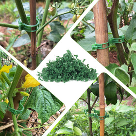 Versatile garden clips keep climbing plants upright without damaging stems.
