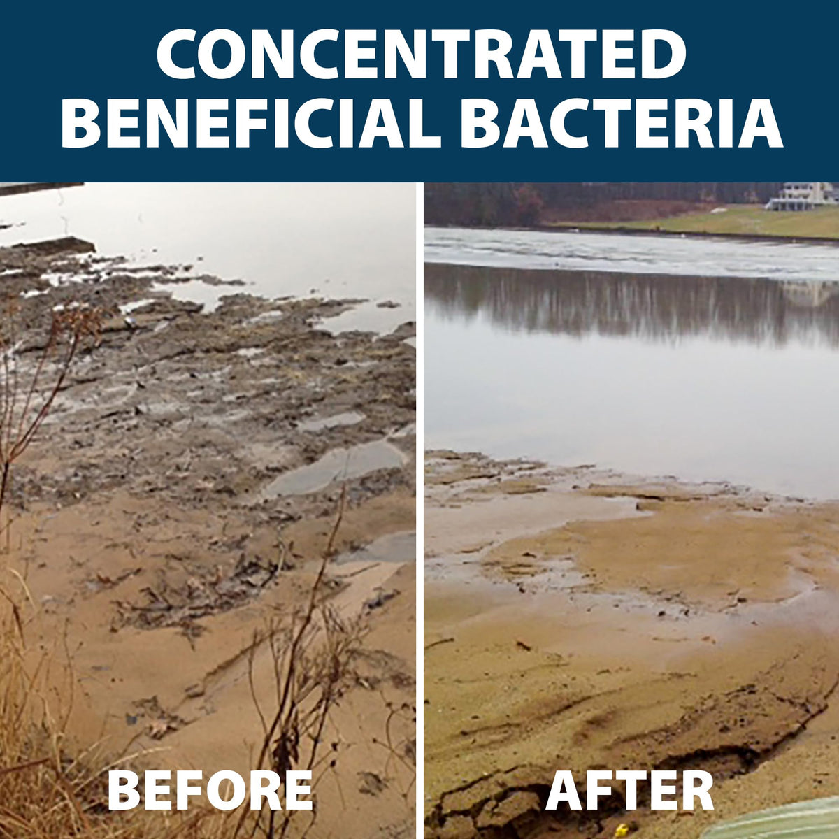 Airmax MuckAway being dosed into pond water for muck breakdown