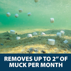 Airmax MuckAway in a sunny pond improving water quality