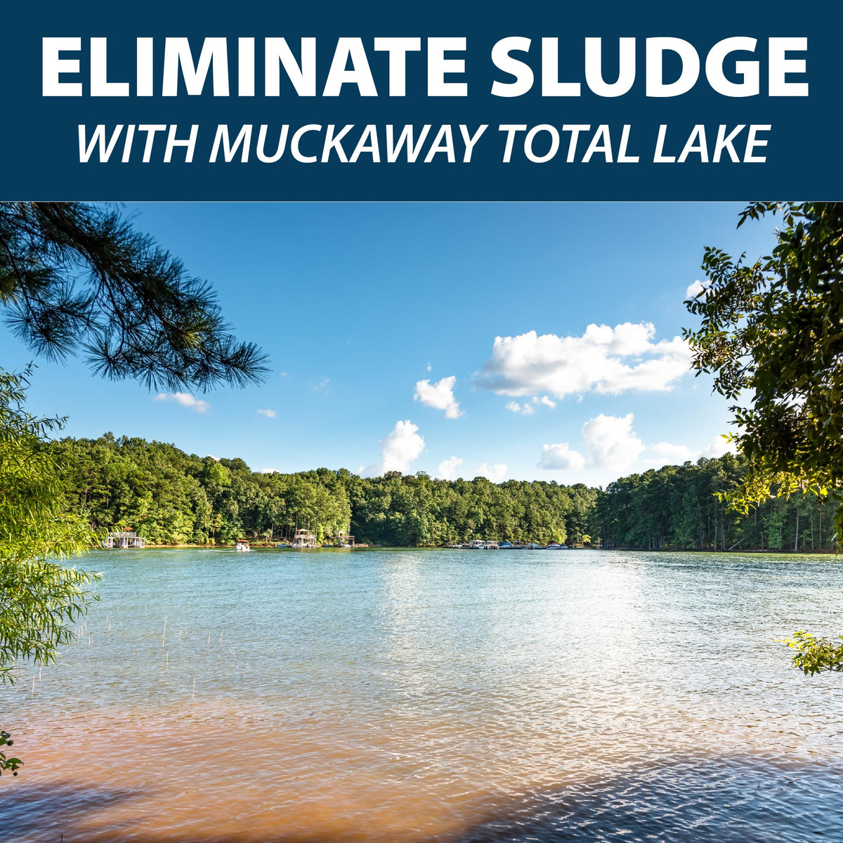 Airmax MuckAway before and after pond muck cleanup