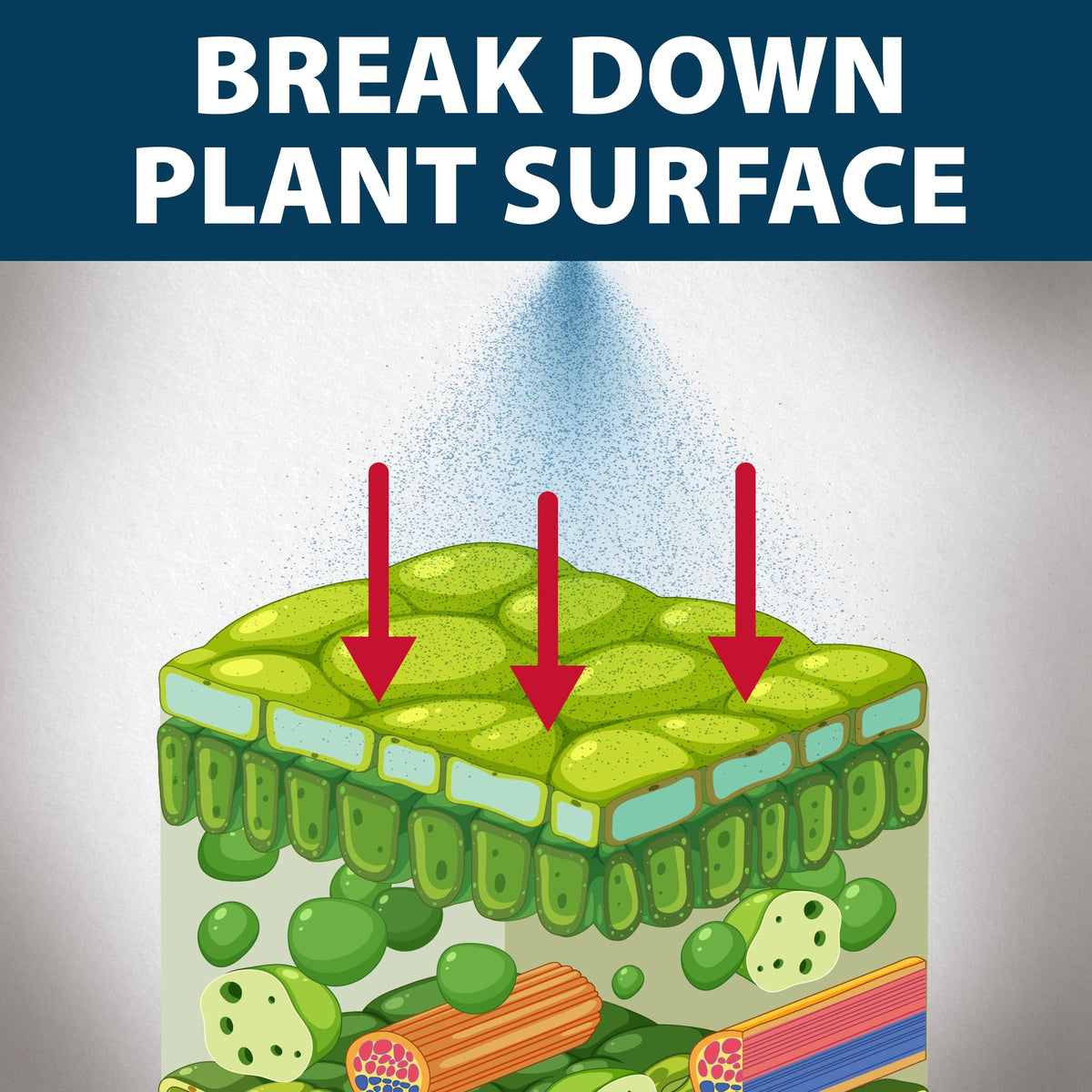 Airmax Treatment Booster Plus mixed with herbicide for better uptake.