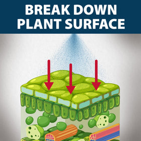 Airmax Treatment Booster Plus mixed with herbicide for better uptake.