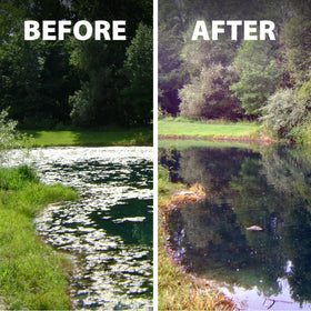 Airmax Treatment Booster Plus underwater application on algae scene.