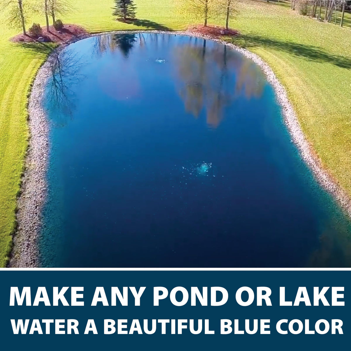 Airmax wildlife-safe pond dye used around fish and birds