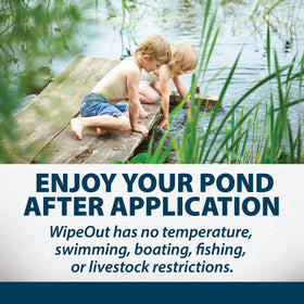 Airmax WipeOut weed coverage across the pond environment for seasonal care.