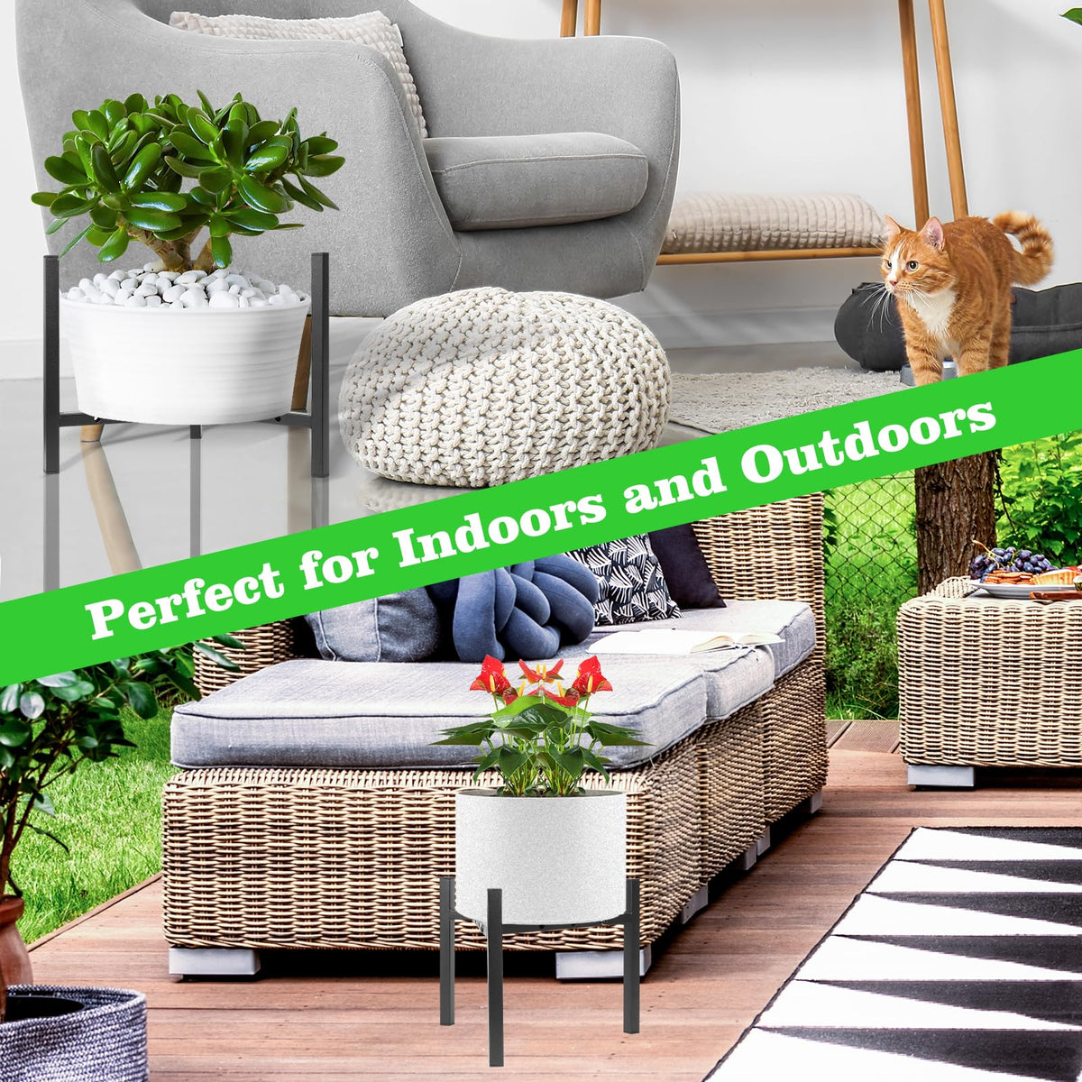 Airpark three-pack indoor stands offer versatile arrangement options
