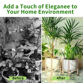 Airpark mid-century modern plant holder complements furniture while elevating displays.