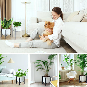 Airpark mid-century modern design complements contemporary home decor
