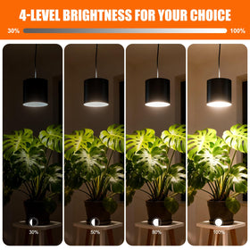 Airseafar plant light with timer enables automatic daily lighting for healthy foliage.