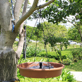 AISITIN solar panel powers a natural fountain attractant.