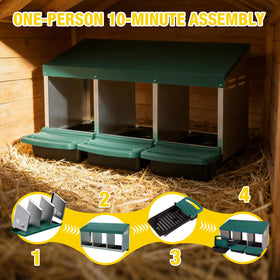 Aivituvin chicken coop with swing perch near nesting area