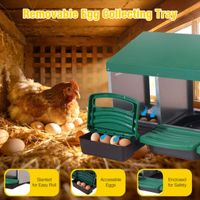 Aivituvin roll-away egg tray guides eggs safely for easy pickup