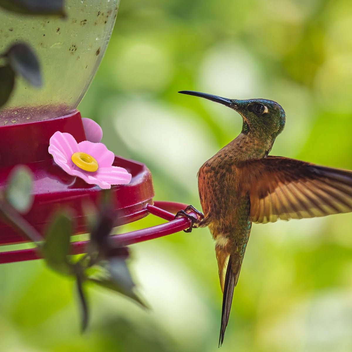 Aiyorse hummingbird feeder replacement flowers shown in vibrant colors attract hummingbirds