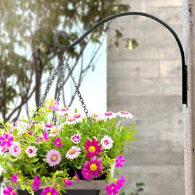 AJART bird feeder wall hook set ideal for attracting songbirds