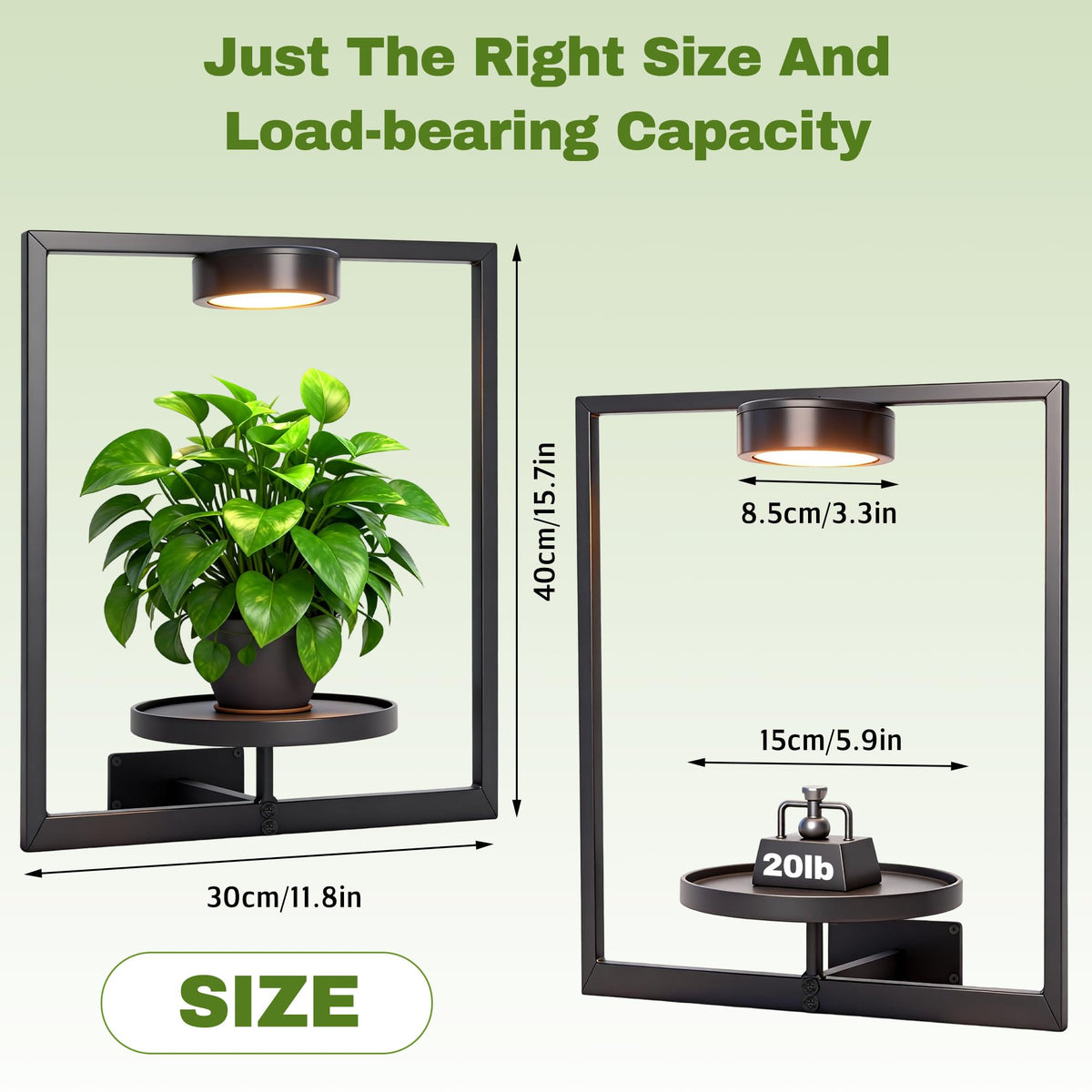Ajerg indoor plant shelf stand creates a compact display with lights
