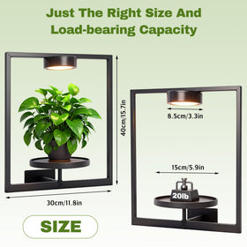 Ajerg indoor plant shelf stand creates a compact display with lights