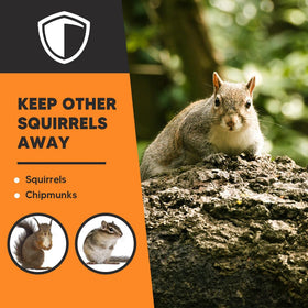 AJOQFKTD squirrel deterrent garden setup shows easy pack placement for pest control.