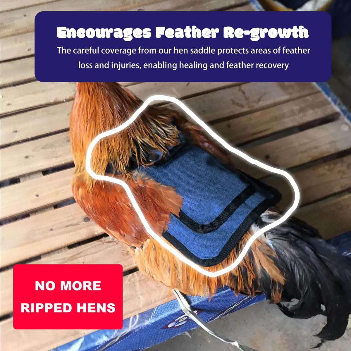 Ajqiomh chicken saddle in red protects hens with adjustable fit for comfort.