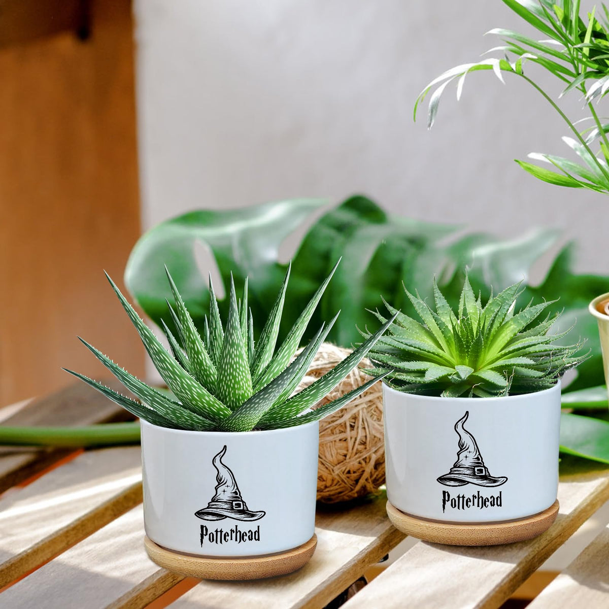 AKAQCHANG ceramic planter with included tray protects surfaces.
