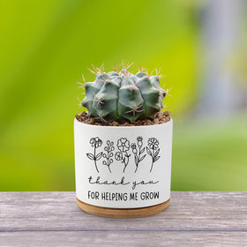 AKAQCHANG 3.5-inch planter, a thoughtful housewarming or birthday gift.