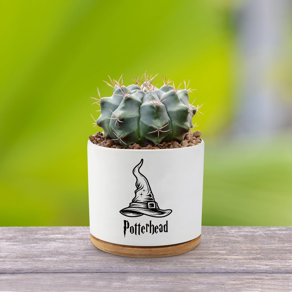 AKAQCHANG gift-ready planter for plant lovers and friends.