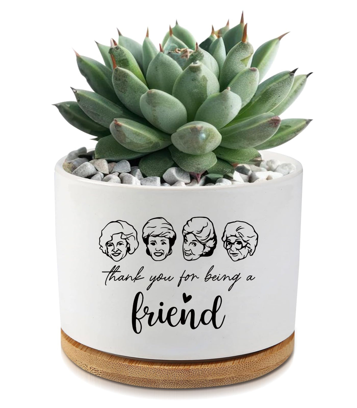 AKAQCHANG Golden Girls planter with drainage hole for healthy small plants.