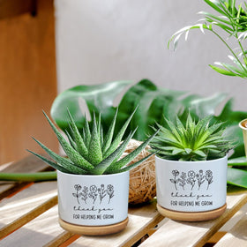 AKAQCHANG planter with drainage hole for healthy moisture on windowsill.