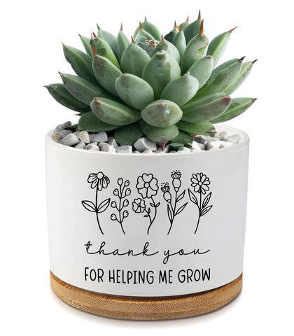 AKAQCHANG 3.5-inch ceramic succulent planter with tray, desk-friendly greenery accent.