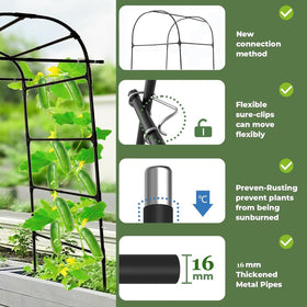 Alabzphsia vertical gardening trellis aids harvests on raised beds.