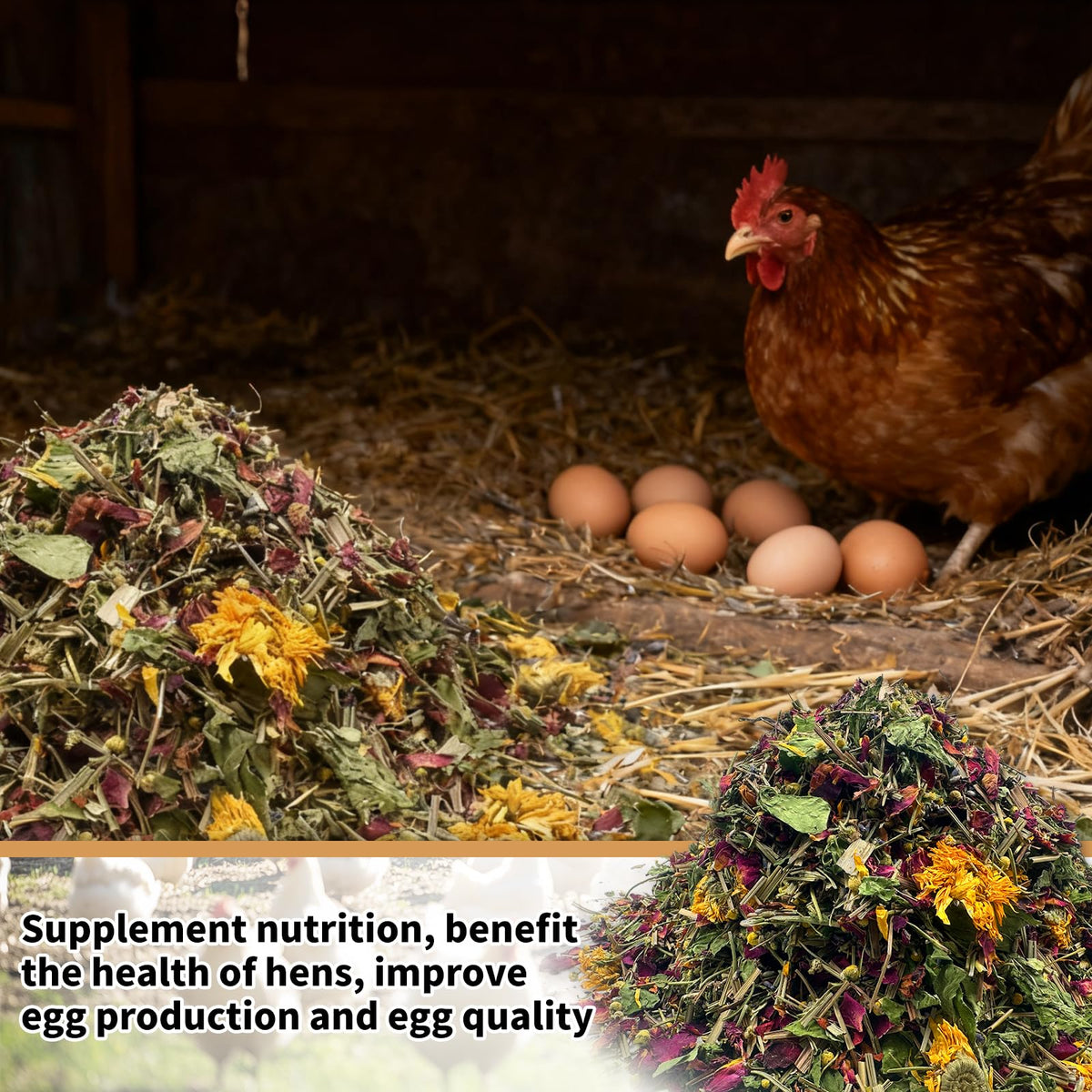 ALAYAO chicken-dust-bath-mix supports feather health and natural enrichment