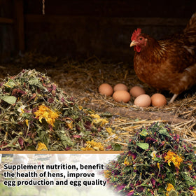 ALAYAO chicken-dust-bath-mix supports feather health and natural enrichment