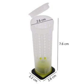 Alblinsy plastic queen cage construction supports durable, repeated use.