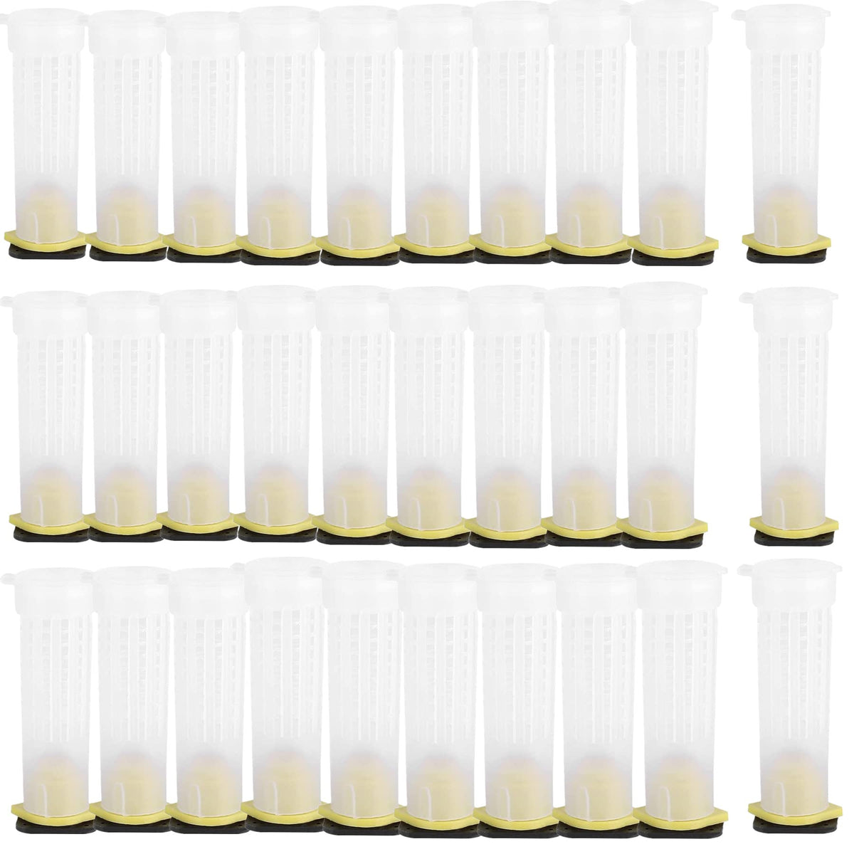 Alblinsy queen bee roller cages package for efficient queen relocation and rearing.