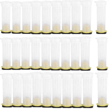 Alblinsy queen bee roller cages package for efficient queen relocation and rearing.