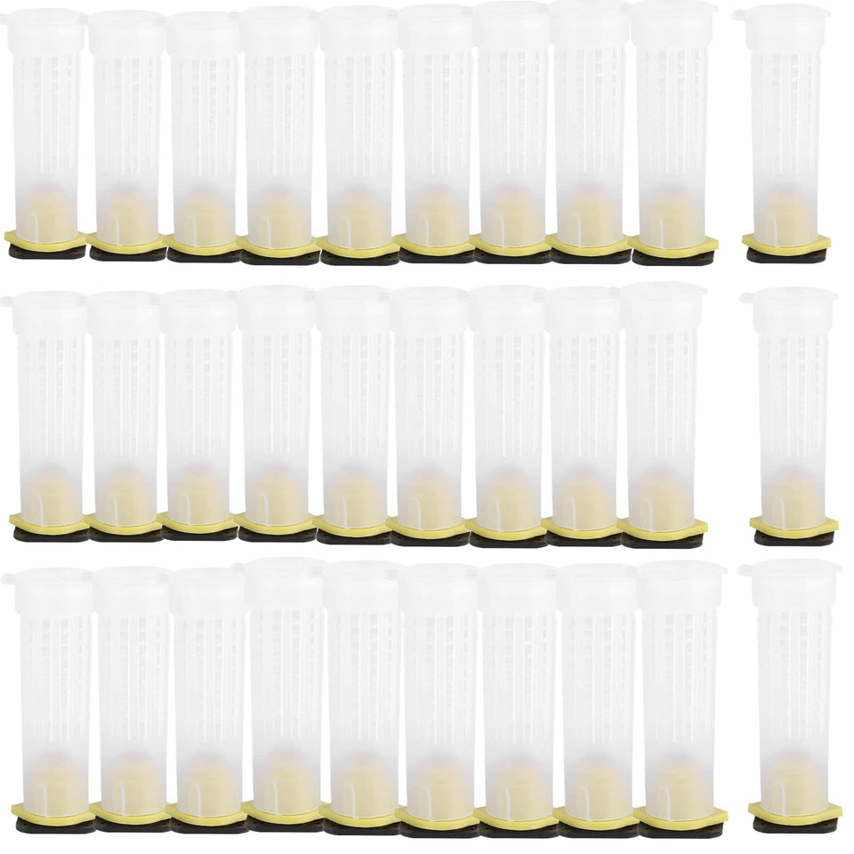 Alblinsy queen bee roller cages package for efficient queen relocation and rearing.