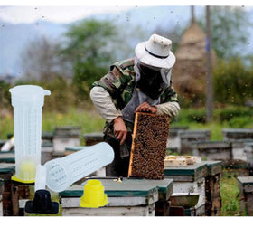 Alblinsy queen cage durable build suitable for ongoing apiary work.