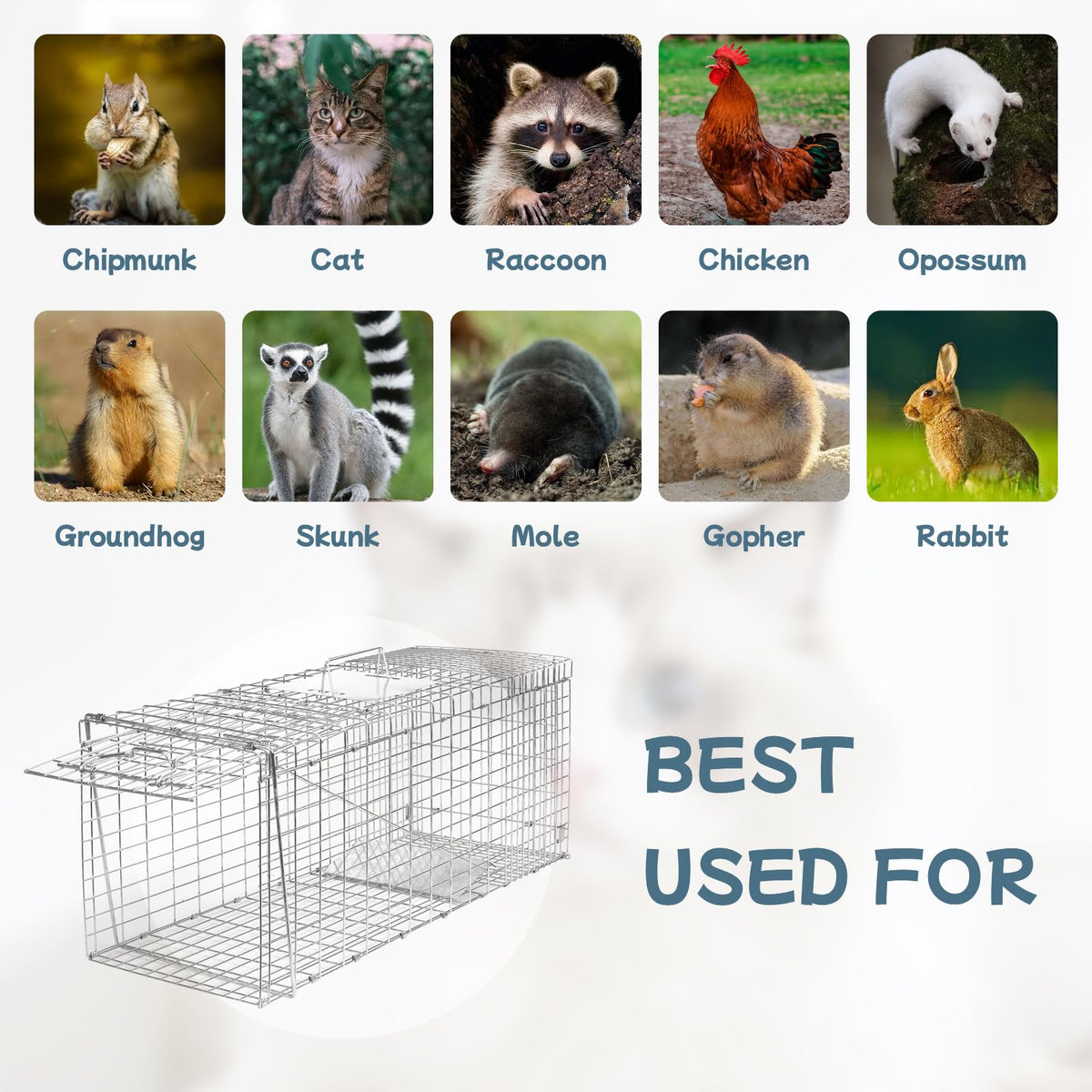 aledaras top-cover safety shield reduces risk to handlers.
