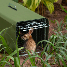 Aledaras trap cover army green top zipper enables easy cage handling.