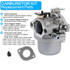 ALEVAK carburetor boosts engine performance on compatible Briggs & Stratton machines.