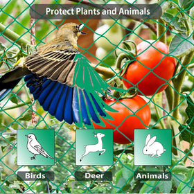 Aliagle blueberry cover netting keeps berries safe from birds for cleaner harvest