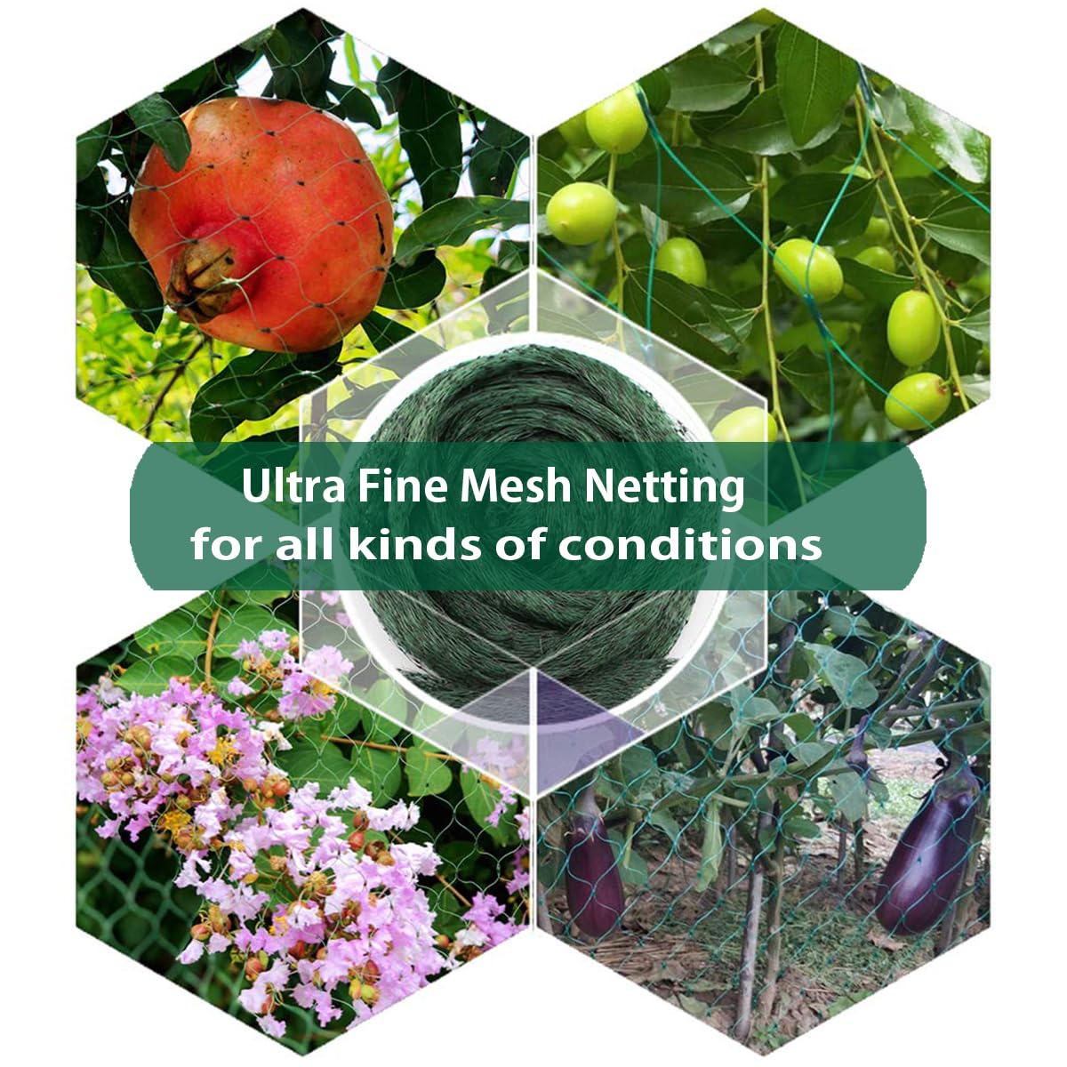 Aliagle vegetable garden use netting shields greens without blocking sun