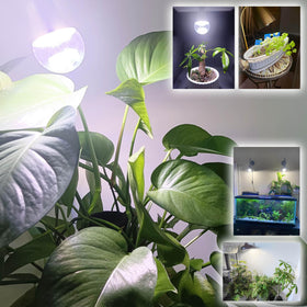 ALIDE easy-install E26 base fits most lamps.