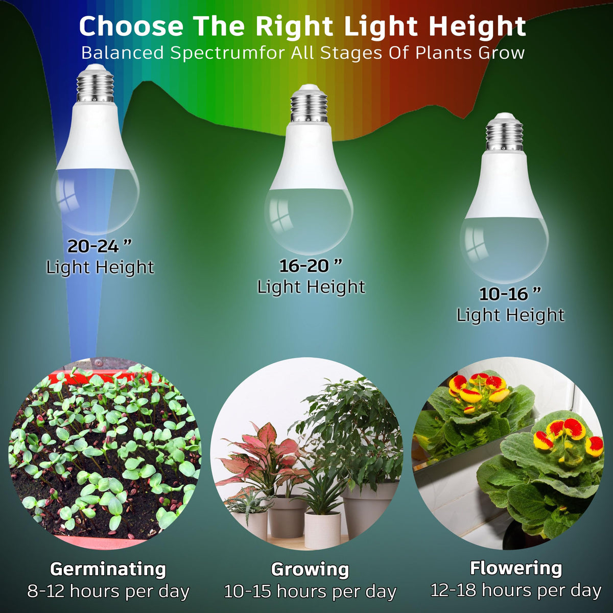 ALIDE flowering and fruiting support through red light emphasis.