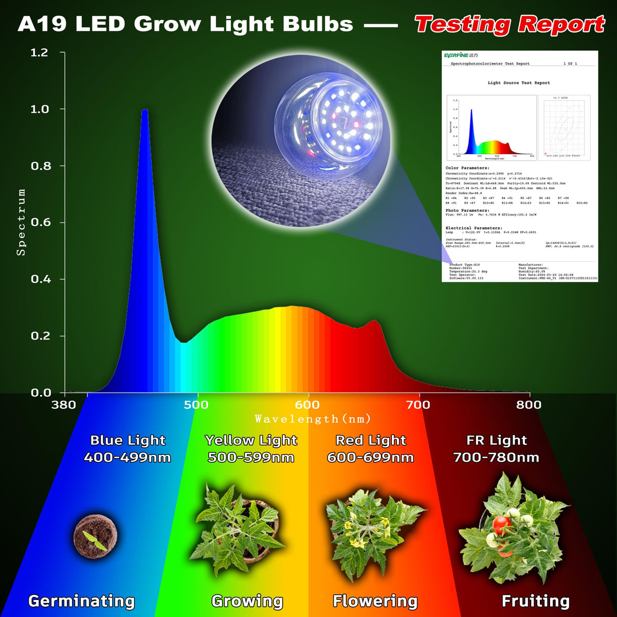 ALIDE indoor garden setup with E26 bulb supports seedling development.