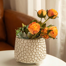 Alikexin small ceramic pot for indoor plants and orchid accents.